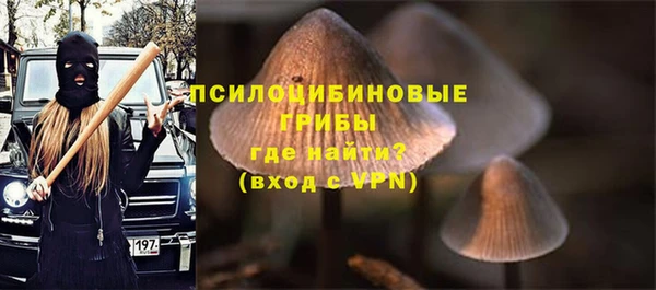 дживик Алексин