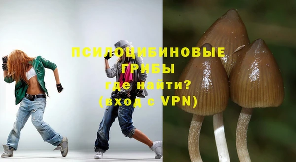 шишки Алексеевка