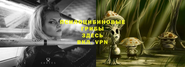 шишки Алексеевка