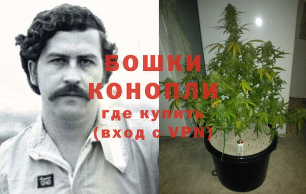 дживик Алексин