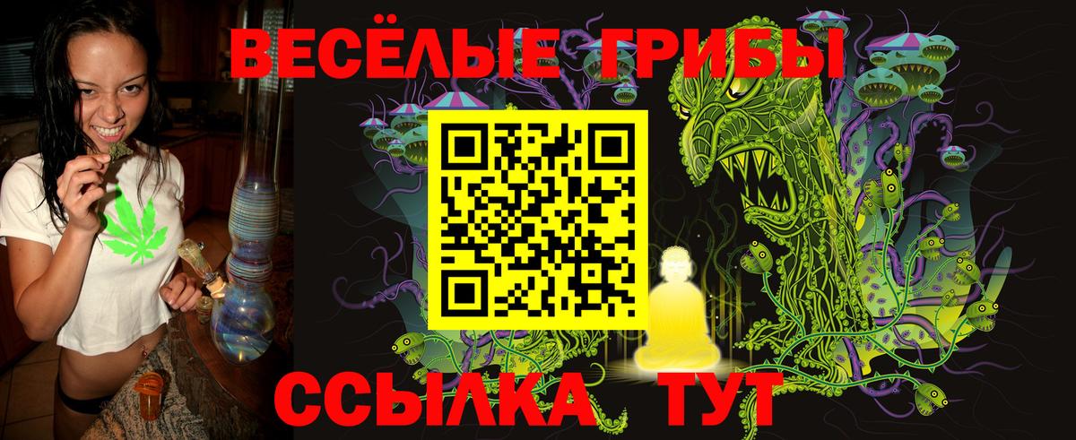 Галлюциногенные грибы Psilocybe Фролово