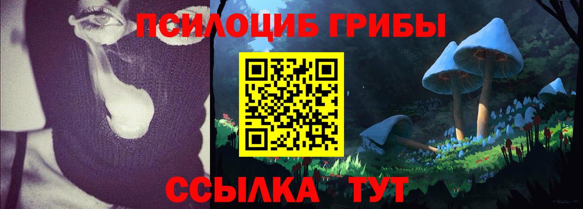 Галлюциногенные грибы ЛСД  Вход с VPN  Псилоцибиновые грибы GOLDEN TEACHER  Фролово 
